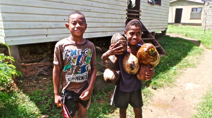 Coconut Kid - Fiji