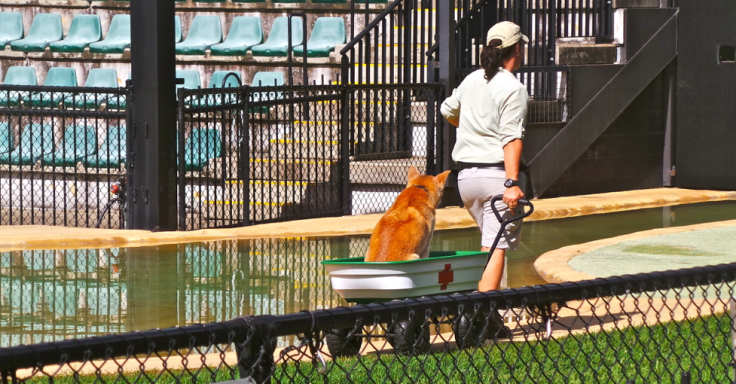 Screen Shot 2015-06-07 at 10.46.04 AM