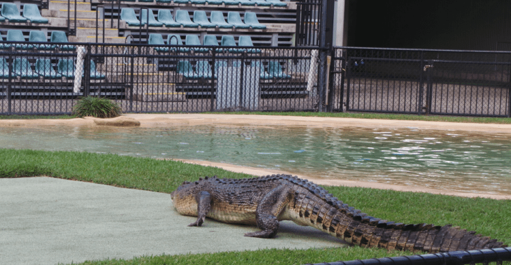 Screen Shot 2015-06-07 at 10.46.10 AM