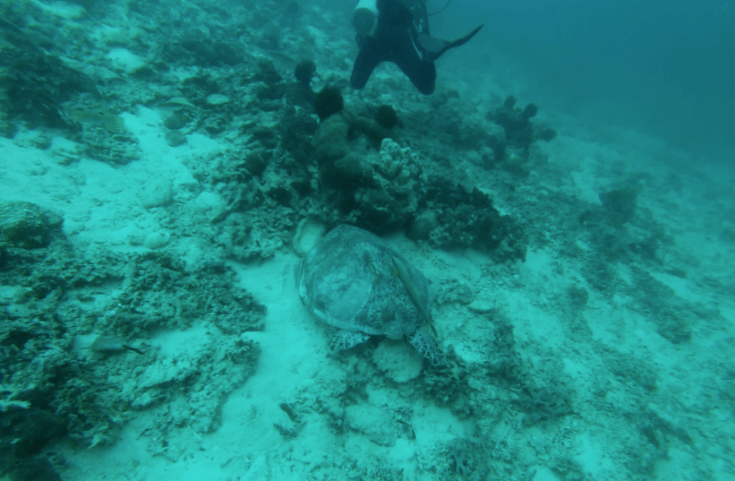 Screen Shot 2017-02-05 at 6.34.57 PM