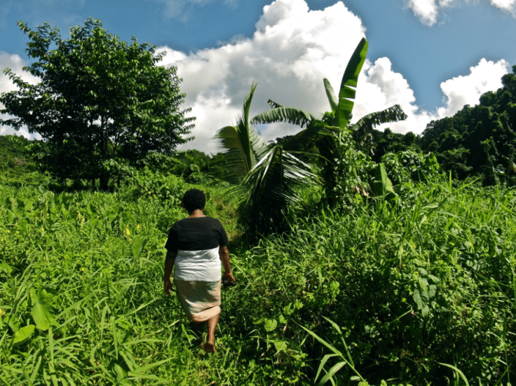 Screen Shot 2015-04-05 at 10.05.24 AM