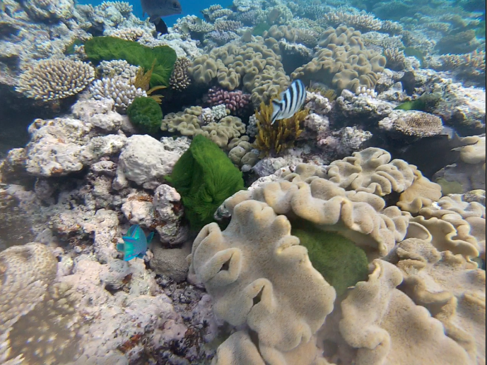 Screen Shot 2014-08-02 at 6.37.31 PM