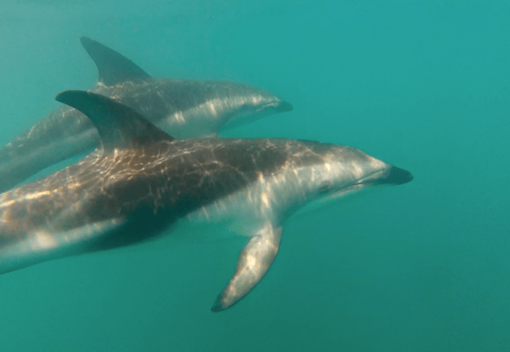 Screen Shot 2014-11-10 at 8.36.51 PM